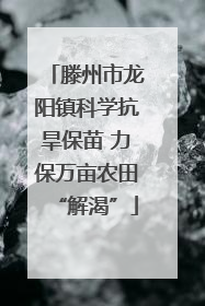 滕州市龙阳镇科学抗旱保苗 力保万亩农田“解渴”