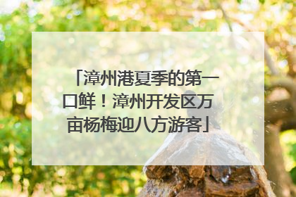 漳州港夏季的第一口鲜！漳州开发区万亩杨梅迎八方游客