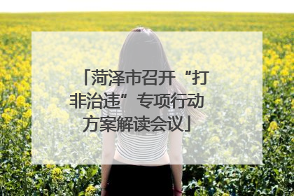 菏泽市召开“打非治违”专项行动方案解读会议