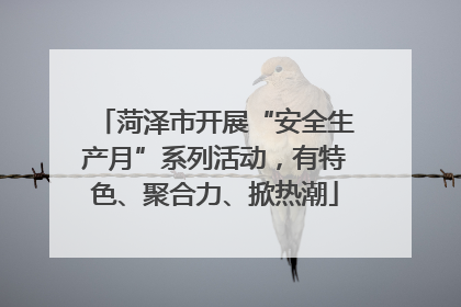 菏泽市开展“安全生产月”系列活动，有特色、聚合力、掀热潮