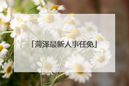 菏泽最新人事任免