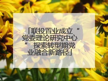 联投置业成立“党委理论研究中心” 探索转型期党业融合新路径