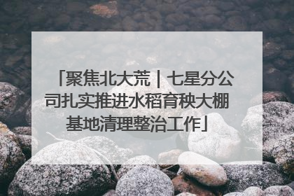聚焦北大荒｜七星分公司扎实推进水稻育秧大棚基地清理整治工作