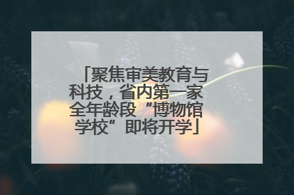 聚焦审美教育与科技，省内第一家全年龄段“博物馆学校”即将开学