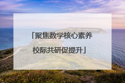 聚焦数学核心素养 校际共研促提升