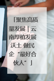 聚焦高质量发展｜云南厚植发展沃土 做民企“最好合伙人”