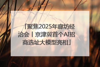聚焦2025年廊坊经洽会丨京津冀首个AI招商选址大模型亮相