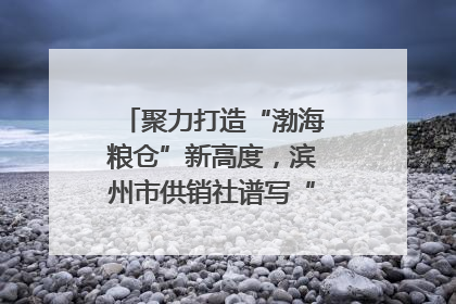 聚力打造“渤海粮仓”新高度，滨州市供销社谱写“三夏”丰收乐章