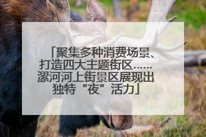 聚集多种消费场景、打造四大主题街区……漯河河上街景区展现出独特“夜”活力