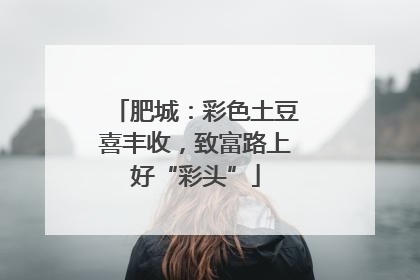 肥城：彩色土豆喜丰收，致富路上好“彩头”