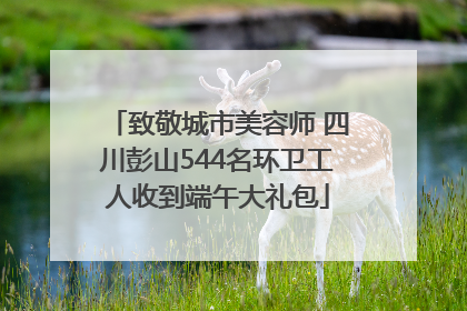 致敬城市美容师 四川彭山544名环卫工人收到端午大礼包