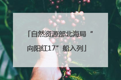 自然资源部北海局“向阳红17”船入列