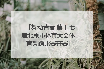 舞动青春 第十七届北京市体育大会体育舞蹈比赛开赛
