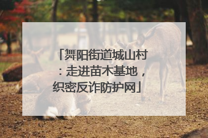 舞阳街道城山村：走进苗木基地，织密反诈防护网