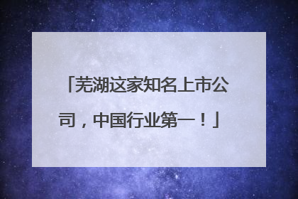 芜湖这家知名上市公司，中国行业第一！