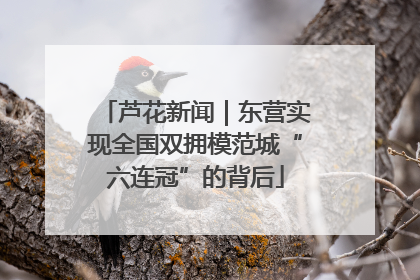芦花新闻｜东营实现全国双拥模范城“六连冠”的背后