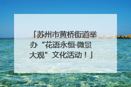 苏州市黄桥街道举办“花语永恒·微景大观”文化活动！