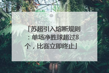 苏超引入熔断规则：单场净胜球超过8个，比赛立即终止
