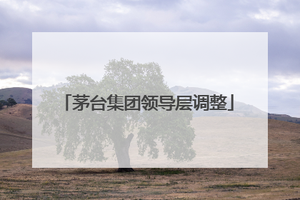 茅台集团领导层调整
