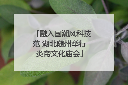 融入国潮风科技范 湖北随州举行炎帝文化庙会