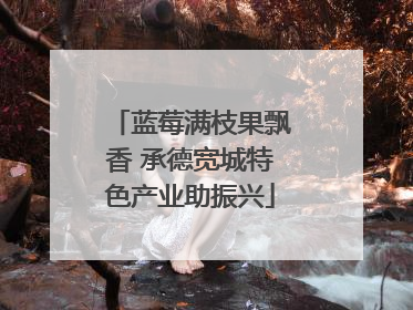 蓝莓满枝果飘香 承德宽城特色产业助振兴