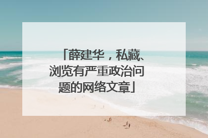 薛建华，私藏、浏览有严重政治问题的网络文章