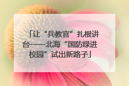 让“兵教官”扎根讲台——北海“国防绿进校园”试出新路子
