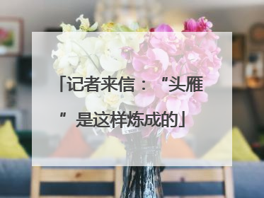 记者来信：“头雁”是这样炼成的