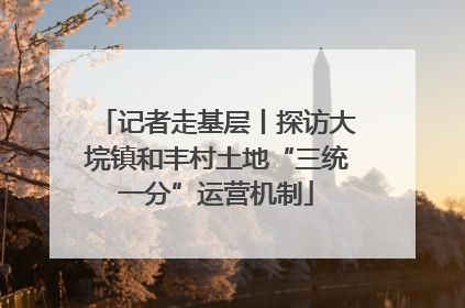 记者走基层丨探访大垸镇和丰村土地“三统一分”运营机制
