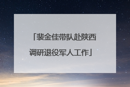 裴金佳带队赴陕西调研退役军人工作