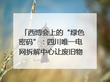 西博会上的“绿色密码”：四川唯一电网拆解中心让废旧物资“重生”｜西博寻“新”记