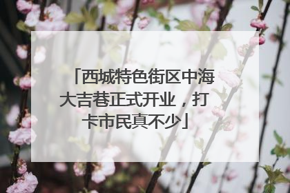 西城特色街区中海大吉巷正式开业，打卡市民真不少