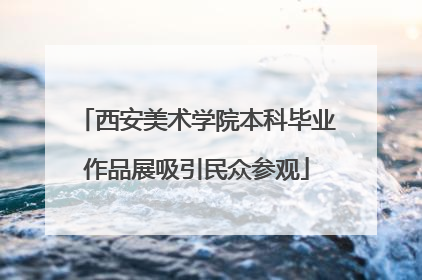 西安美术学院本科毕业作品展吸引民众参观