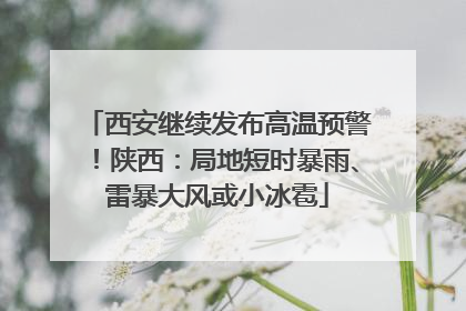 西安继续发布高温预警！陕西：局地短时暴雨、雷暴大风或小冰雹