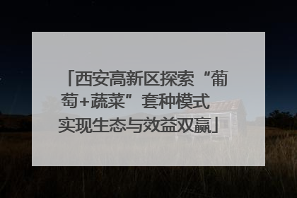 西安高新区探索“葡萄+蔬菜”套种模式 实现生态与效益双赢