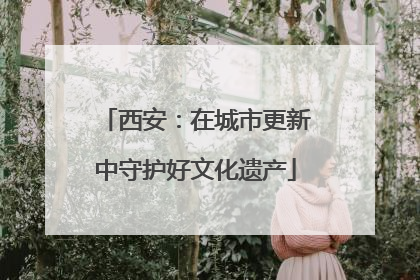 西安：在城市更新中守护好文化遗产
