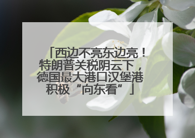 西边不亮东边亮！特朗普关税阴云下，德国最大港口汉堡港积极“向东看”