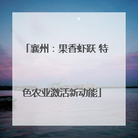 襄州：果香虾跃 特色农业激活新动能