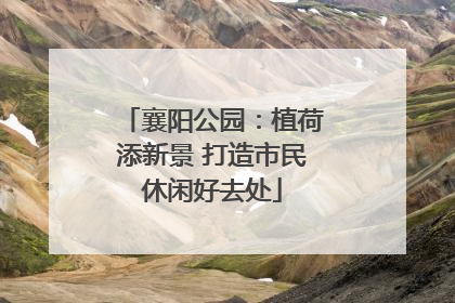 襄阳公园：植荷添新景 打造市民休闲好去处