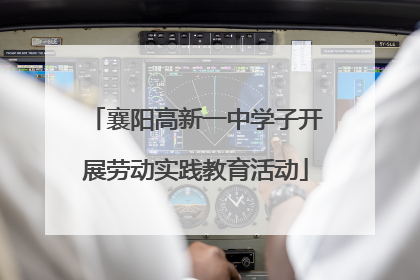 襄阳高新一中学子开展劳动实践教育活动