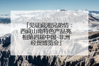 见证藏湘兄弟情：西藏山南特色产品亮相第四届中国-非洲经贸博览会