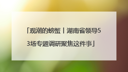 观潮的螃蟹丨湖南省领导53场专题调研聚焦这件事