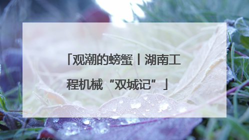 观潮的螃蟹丨湖南工程机械“双城记”