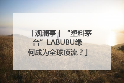 观澜亭｜“塑料茅台”LABUBU缘何成为全球顶流？