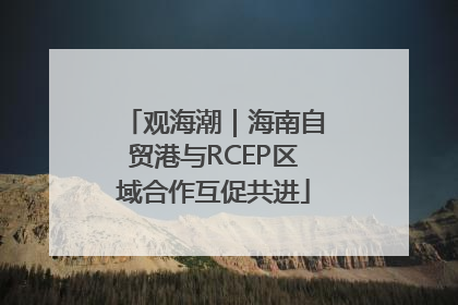 观海潮｜海南自贸港与RCEP区域合作互促共进