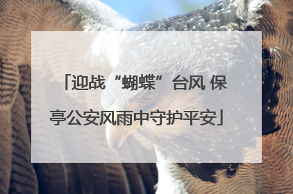 迎战“蝴蝶”台风 保亭公安风雨中守护平安