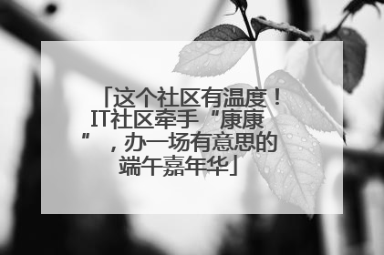 这个社区有温度！IT社区牵手“康康”，办一场有意思的端午嘉年华
