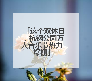 这个双休日，杭钢公园万人音乐节热力爆棚