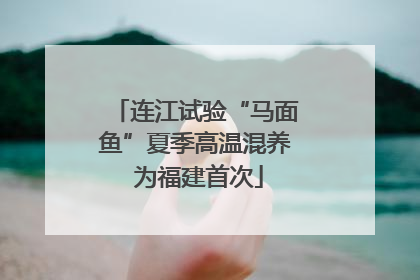 连江试验“马面鱼”夏季高温混养 为福建首次