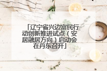辽宁省兴边富民行动创新推进试点（安居融居方向）启动会在丹东召开